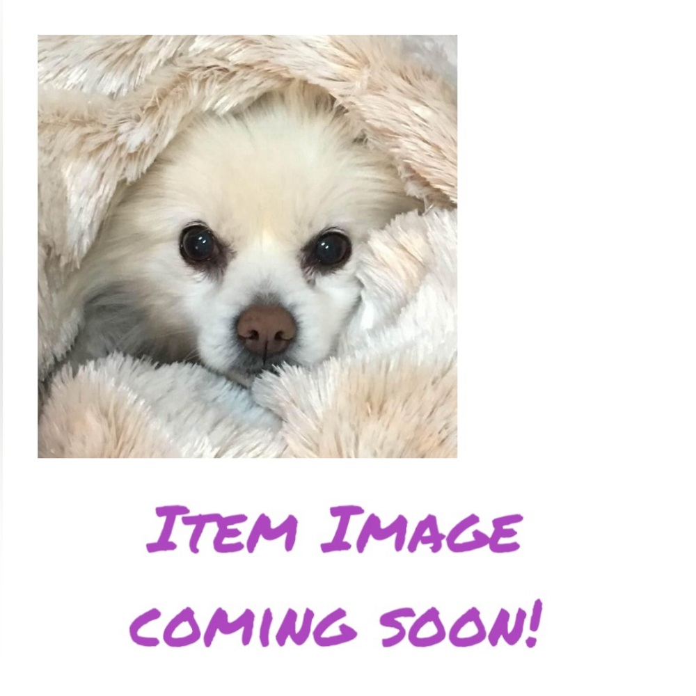 Dog Clothes Bundle EUC